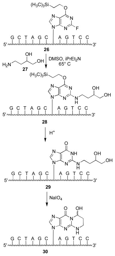 Scheme 4