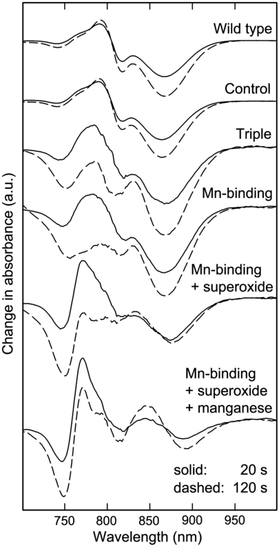 Fig. 4.