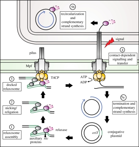 Figure 1.