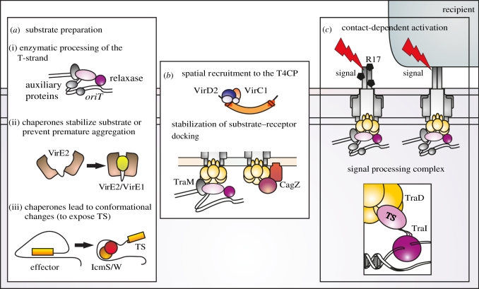 Figure 4.