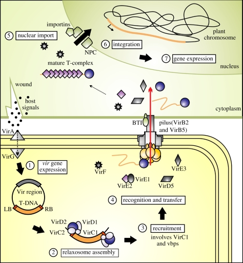 Figure 2.