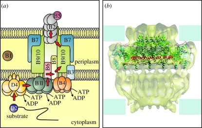 Figure 3.