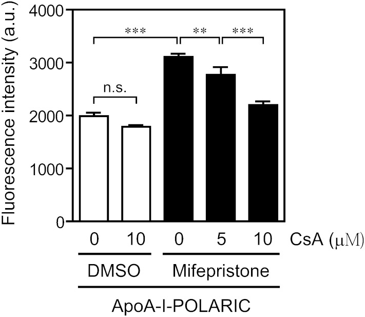 Fig. 5.