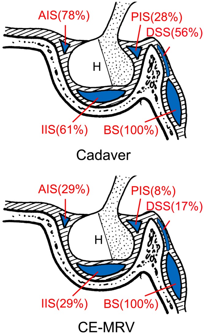 Fig 5