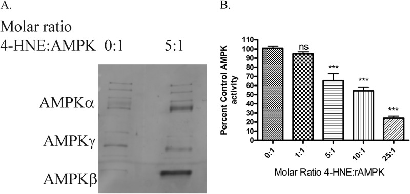 FIGURE 11.