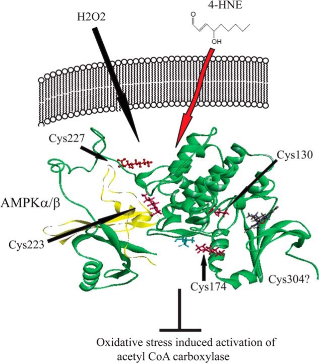 FIGURE 14.