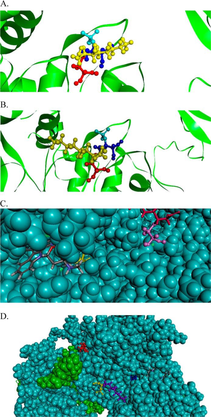 FIGURE 13.