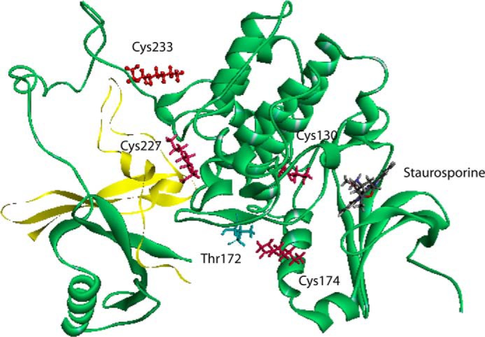 FIGURE 12.