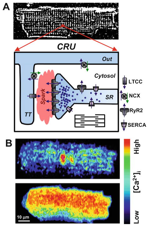 Fig. 1