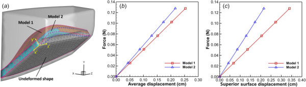 (a) Deformation of the two conus elasticus models under the pressure load of 0.4 kPa. Dashed lines indicate the location of the superior edges that are not visible in the figure. The gray, transparent shape indicates the original vocal fold model from which the conus elasticus is separated. (b) Force versus average displacement of the entire conus elasticus under uniform pressure loads. The average displacement is calculated by taking the arithmetic mean of the nodal displacements normal to the medial surface of the conus elasticus (y' direction shown in Figure (a)). (c) Force versus average displacement (in y' direction) of the superior surface of the conus elasticus under uniform pressure loads.