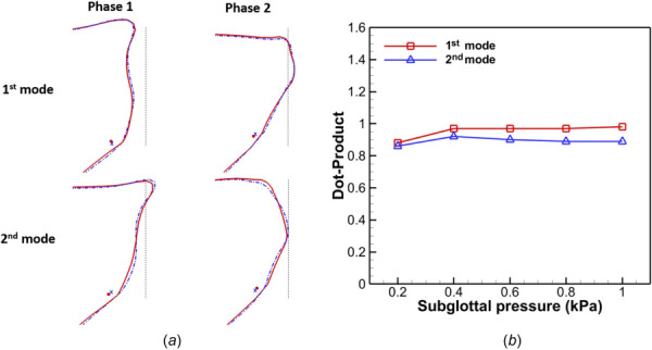 (a) The midcoronal profile of the first two POD modes at two-extreme phases for model 1 (solid line) and model 2 (dashed line) at 1.0 kPa subglottal pressure. The dot and cross marker denote the junction of the conus elasticus and ligament in model 1 and model 2, respectively. The vertical dotted line (x = 0.0 mm) is the reference line for comparing mode shapes at different phases. (b) Dot-products of the first and second POD modes between model 1 and 2 at different subglottal pressures.