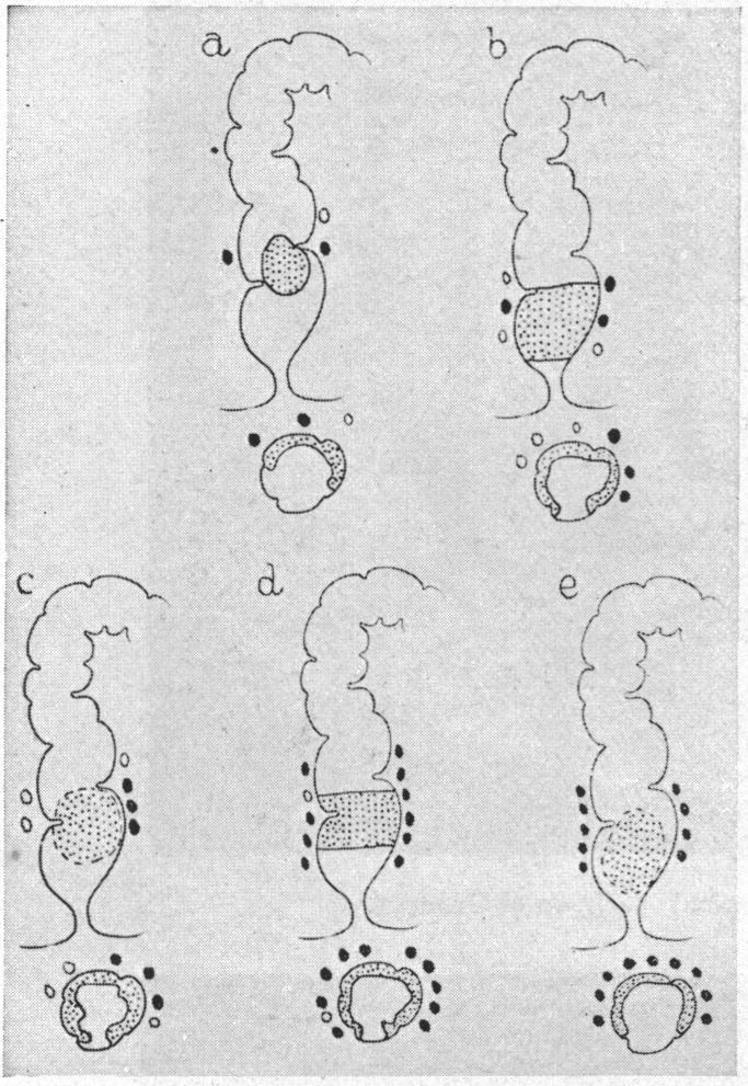 FIG. 10.