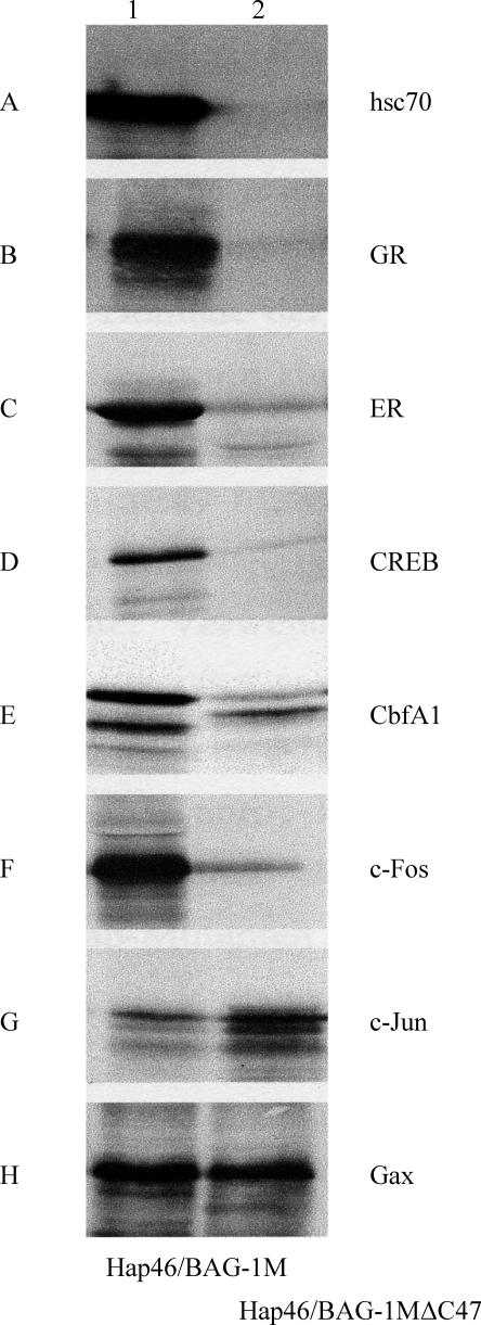 Fig 2.