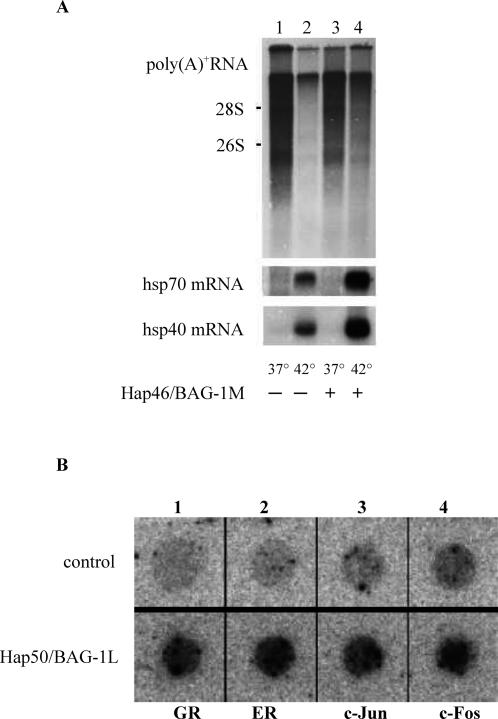 Fig 3.