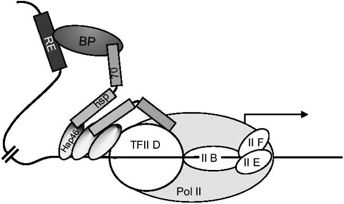 Fig 4.