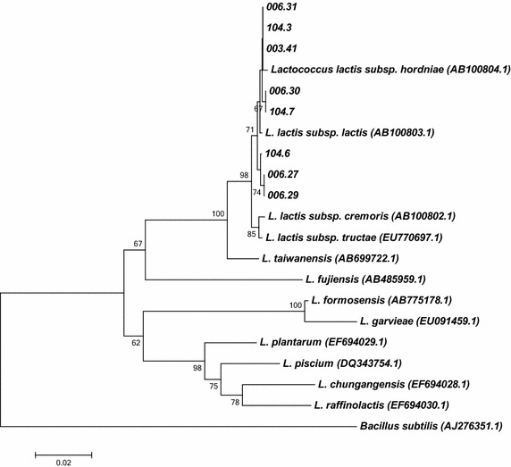 Fig. 1