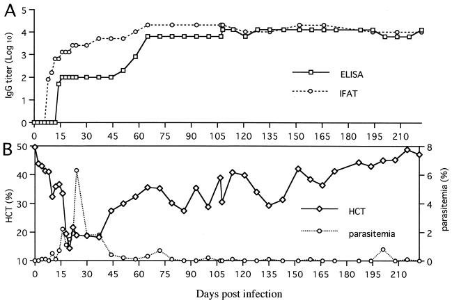 FIG. 7