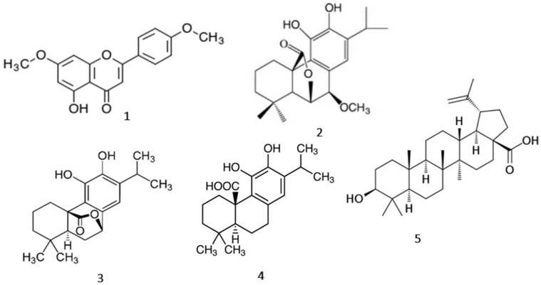 Figure 5