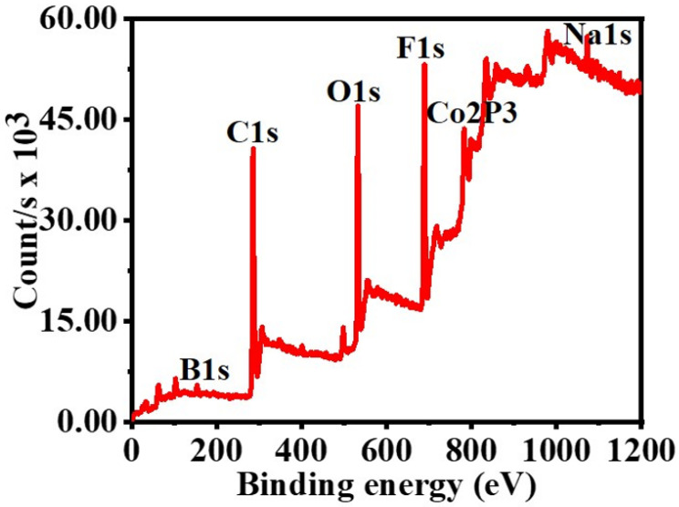 Figure 12