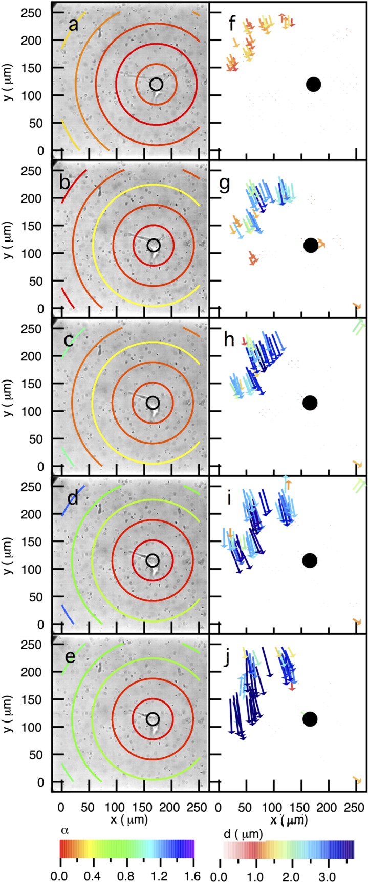 Fig. S3.