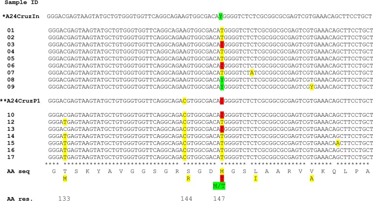 FIG 3