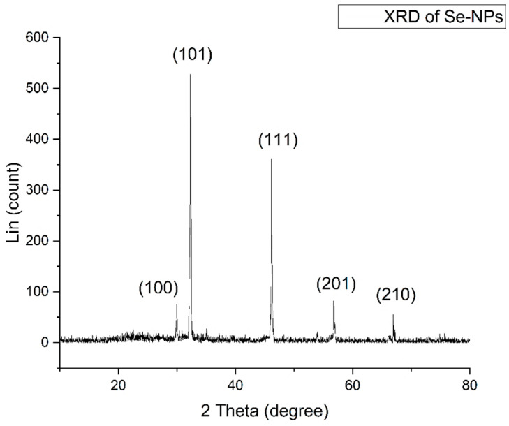 Figure 7