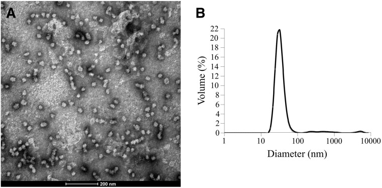 Figure 5