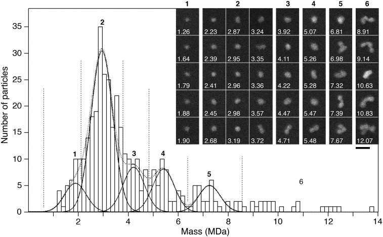 Figure 7