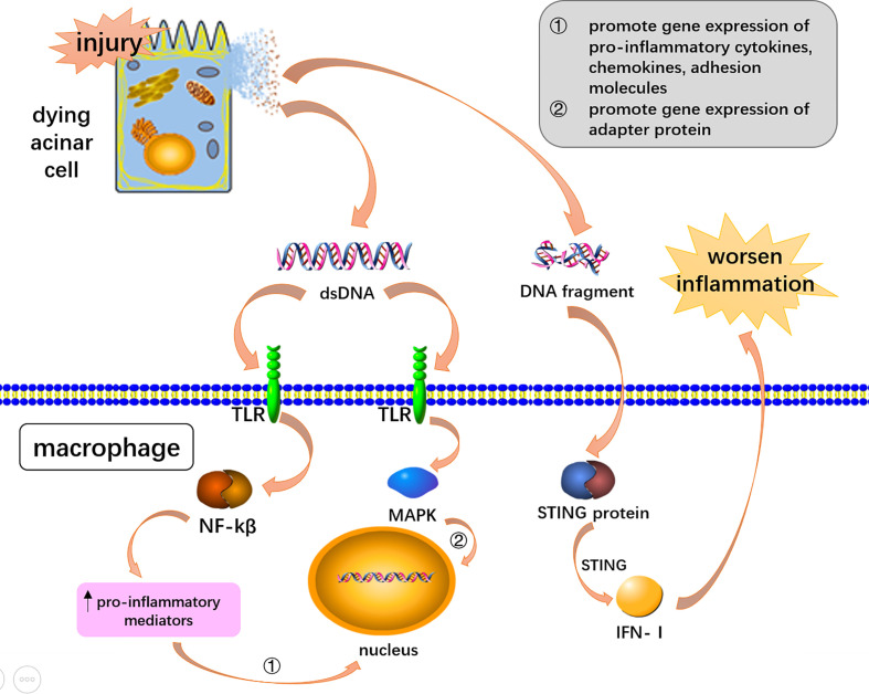 Figure 2