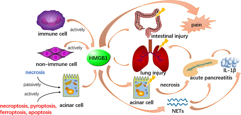 Figure 1