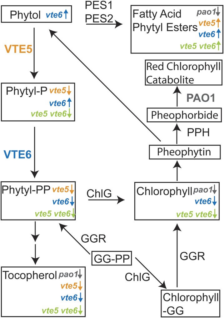 Figure 9.