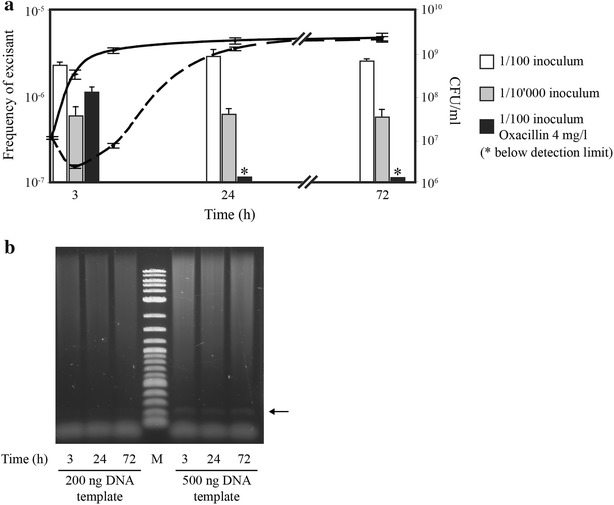 Fig. 3