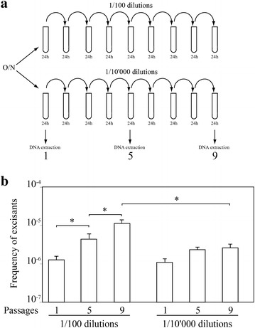 Fig. 4