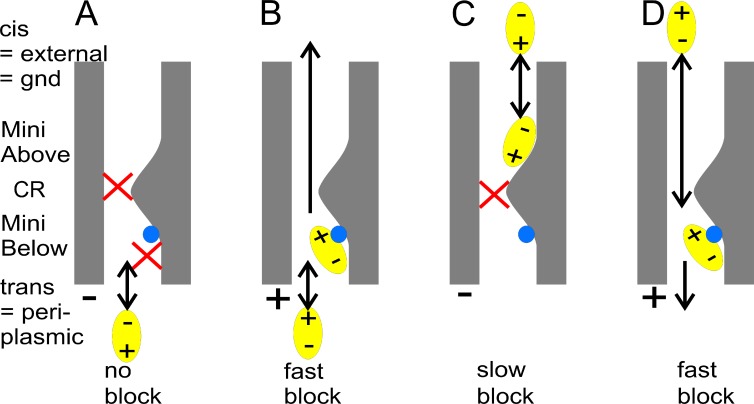 Figure 10.