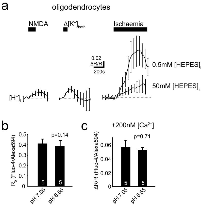 Ext. Data Fig. 4