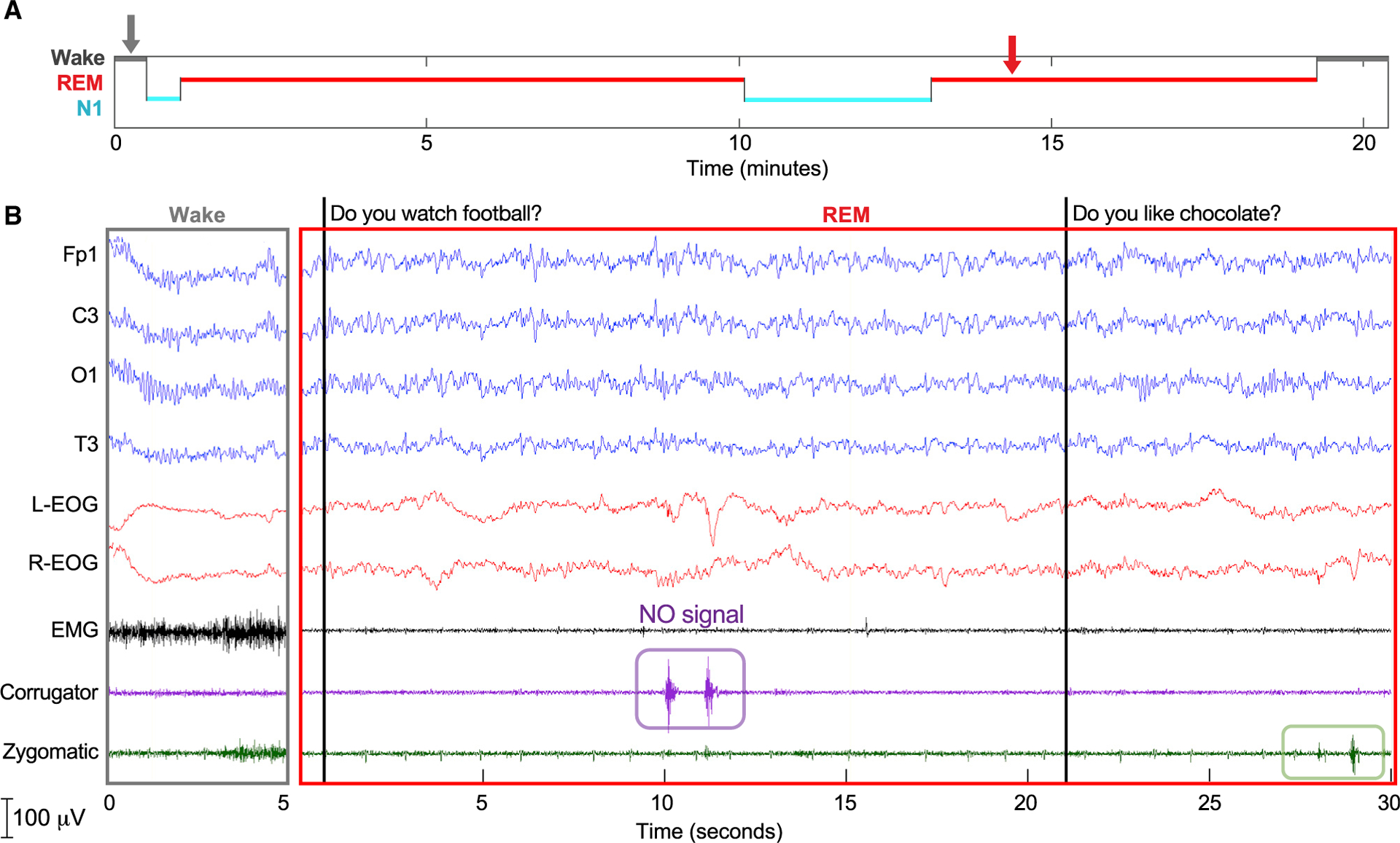 Figure 4.