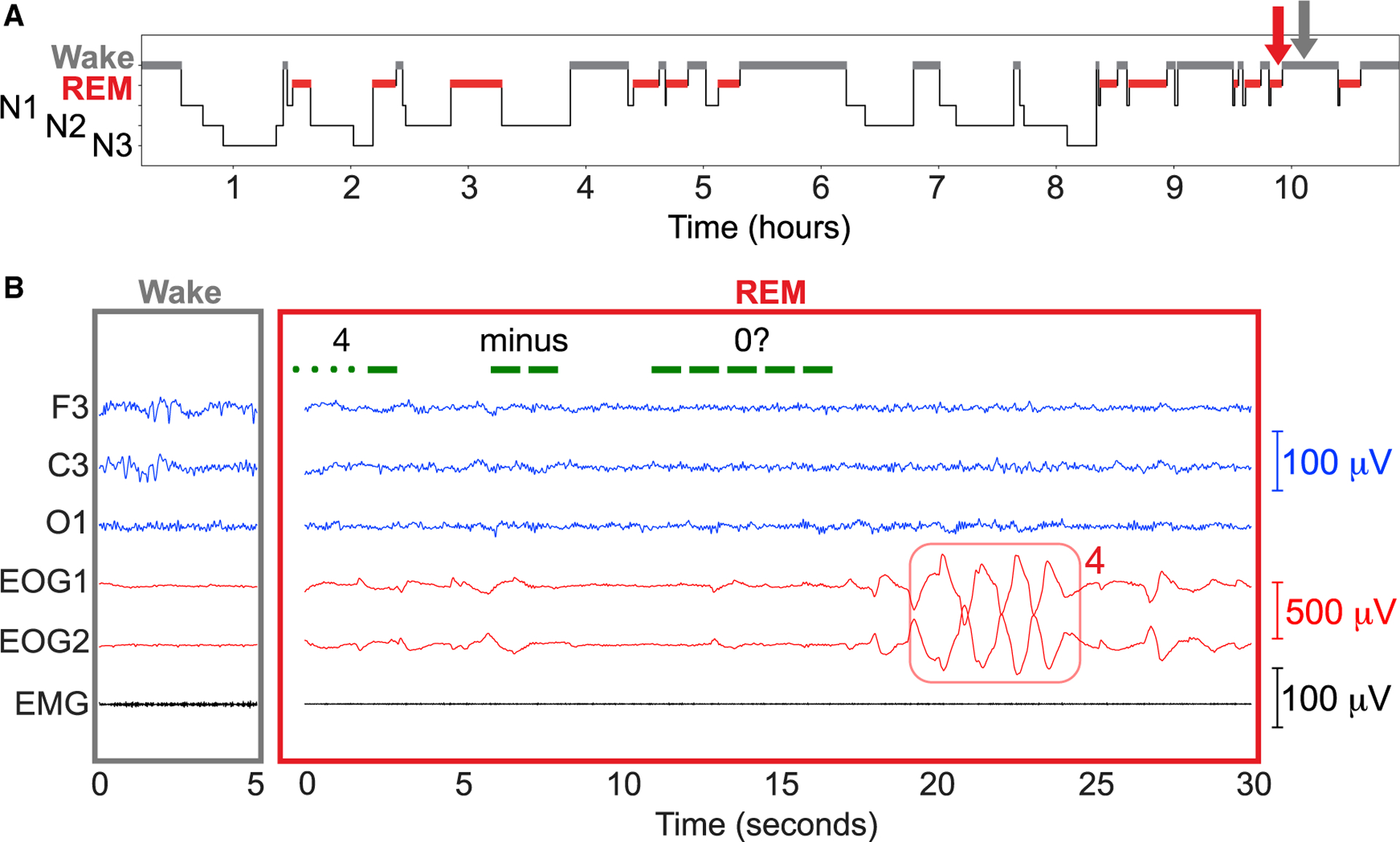 Figure 3.