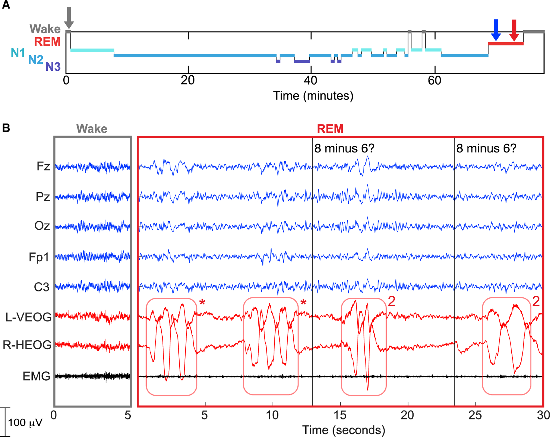 Figure 2.