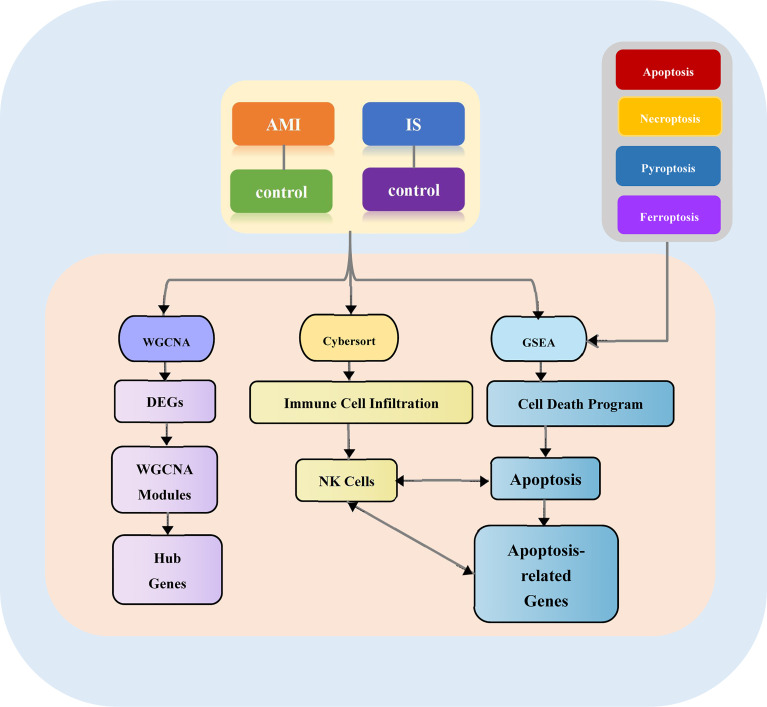 Figure 1