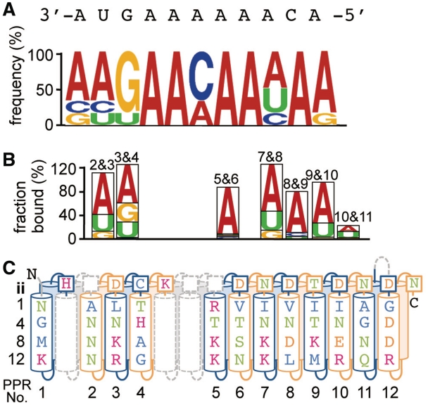 Figure 7.