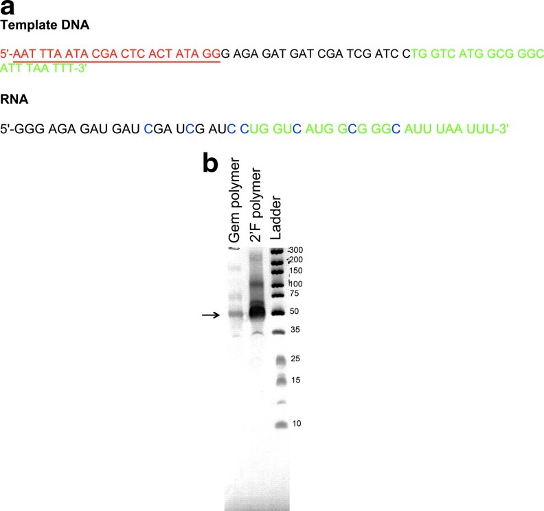 FIG. 4.