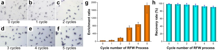 FIG. 6.