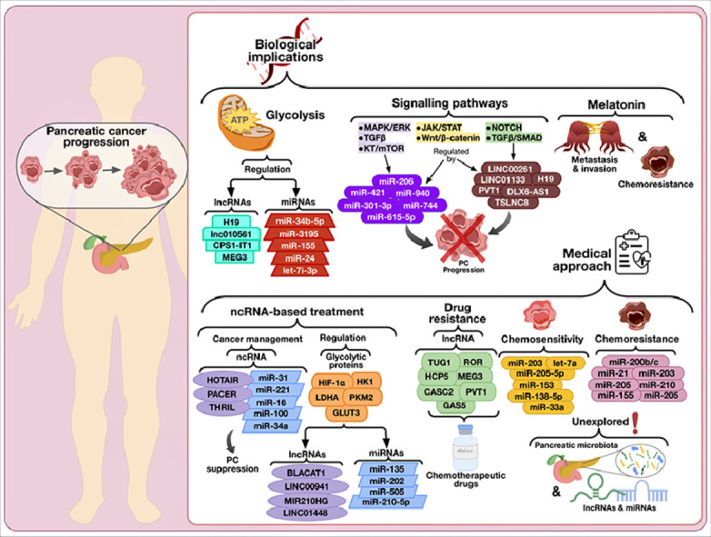 Image, graphical abstract