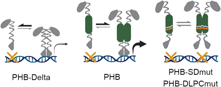 Figure 7.