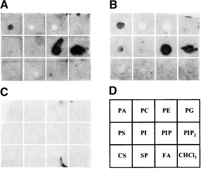 Figure 5.