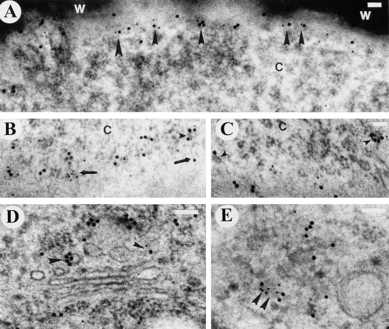 Figure 10.