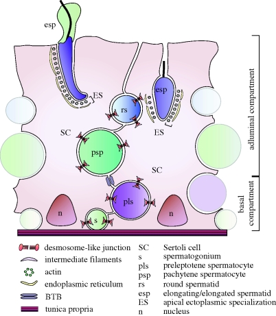 Figure 1.