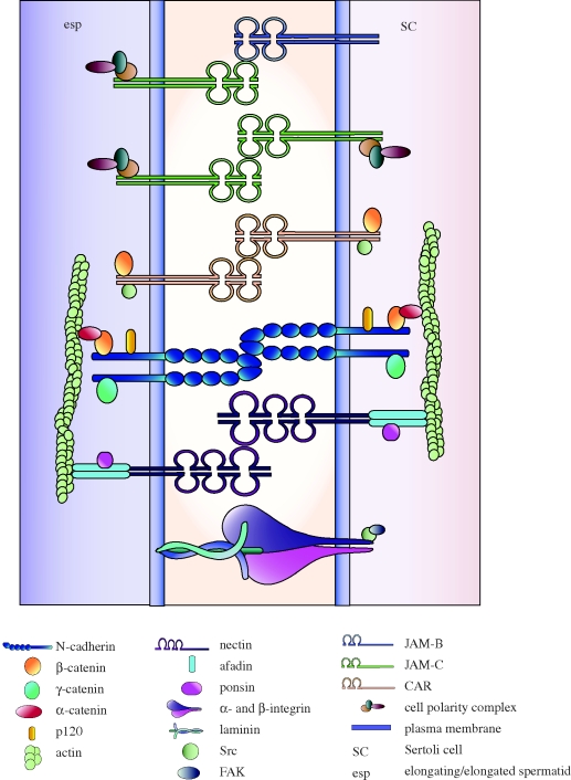 Figure 3.