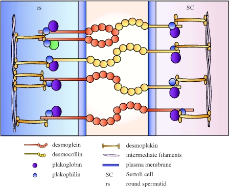 Figure 2.