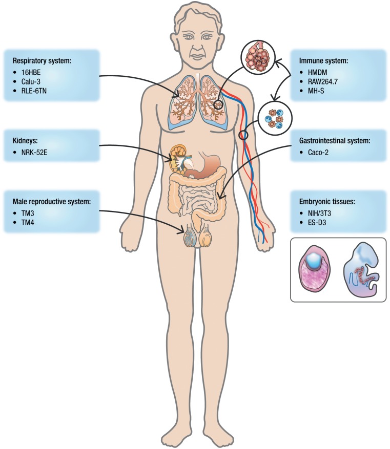 Fig 2